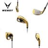 1 OEM Gold PVD 431 Stainless Steel Iron Set