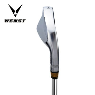 Right Hand Graphite Steel Shaft Irons