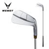 Right Hand Graphite Steel Shaft Irons
